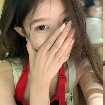 鸽之翼
